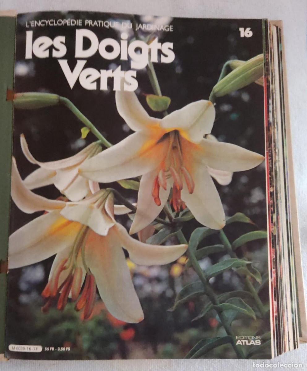 Libros de segunda mano: LES DOIGTS VERTS. - Foto 4