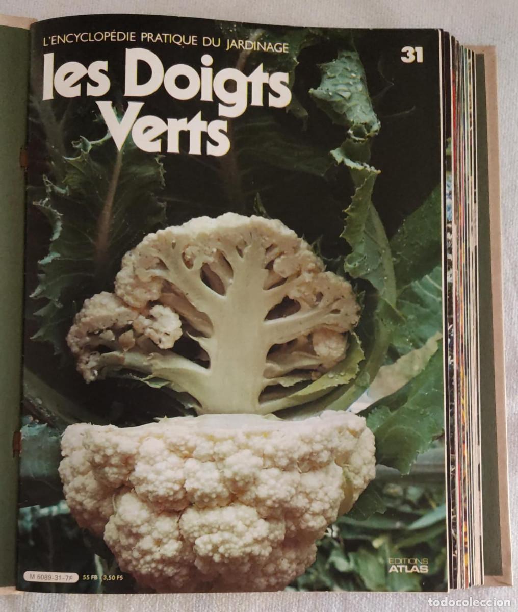 Libros de segunda mano: LES DOIGTS VERTS. - Foto 4