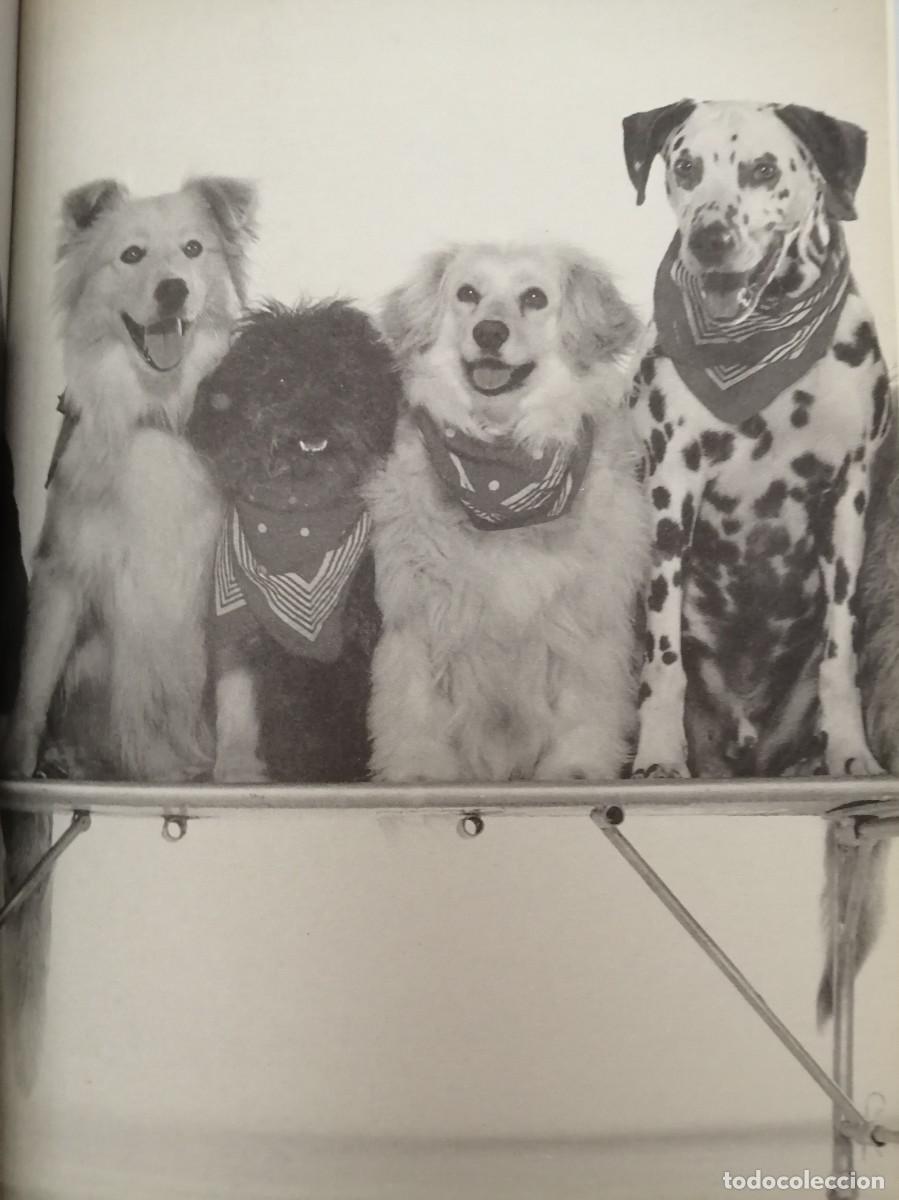 Libros de segunda mano: MI PERRO, SUS AMIGOS Y YO - Foto 3