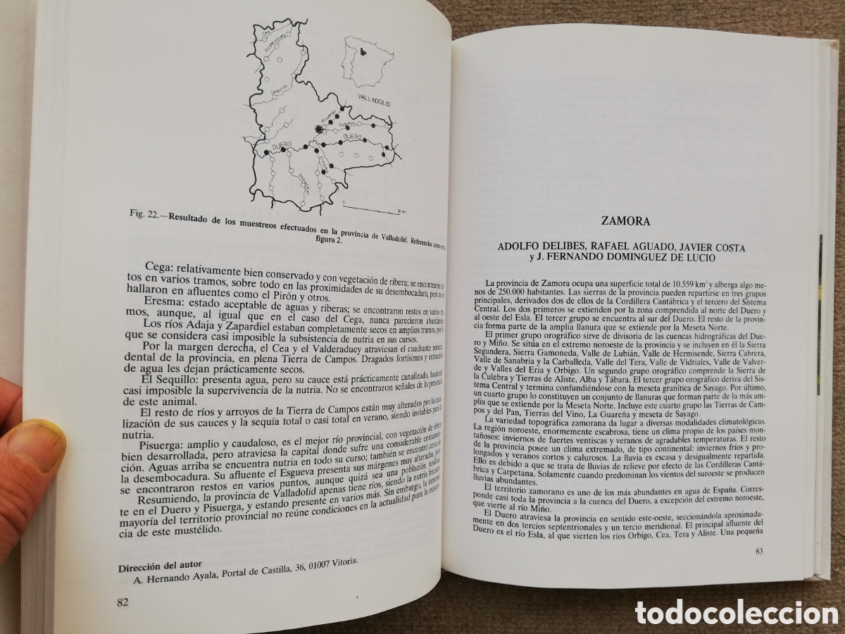 Libros de segunda mano: La nutria en Espa&ntilde;a. Editor: Miguel Delibes - Foto 3