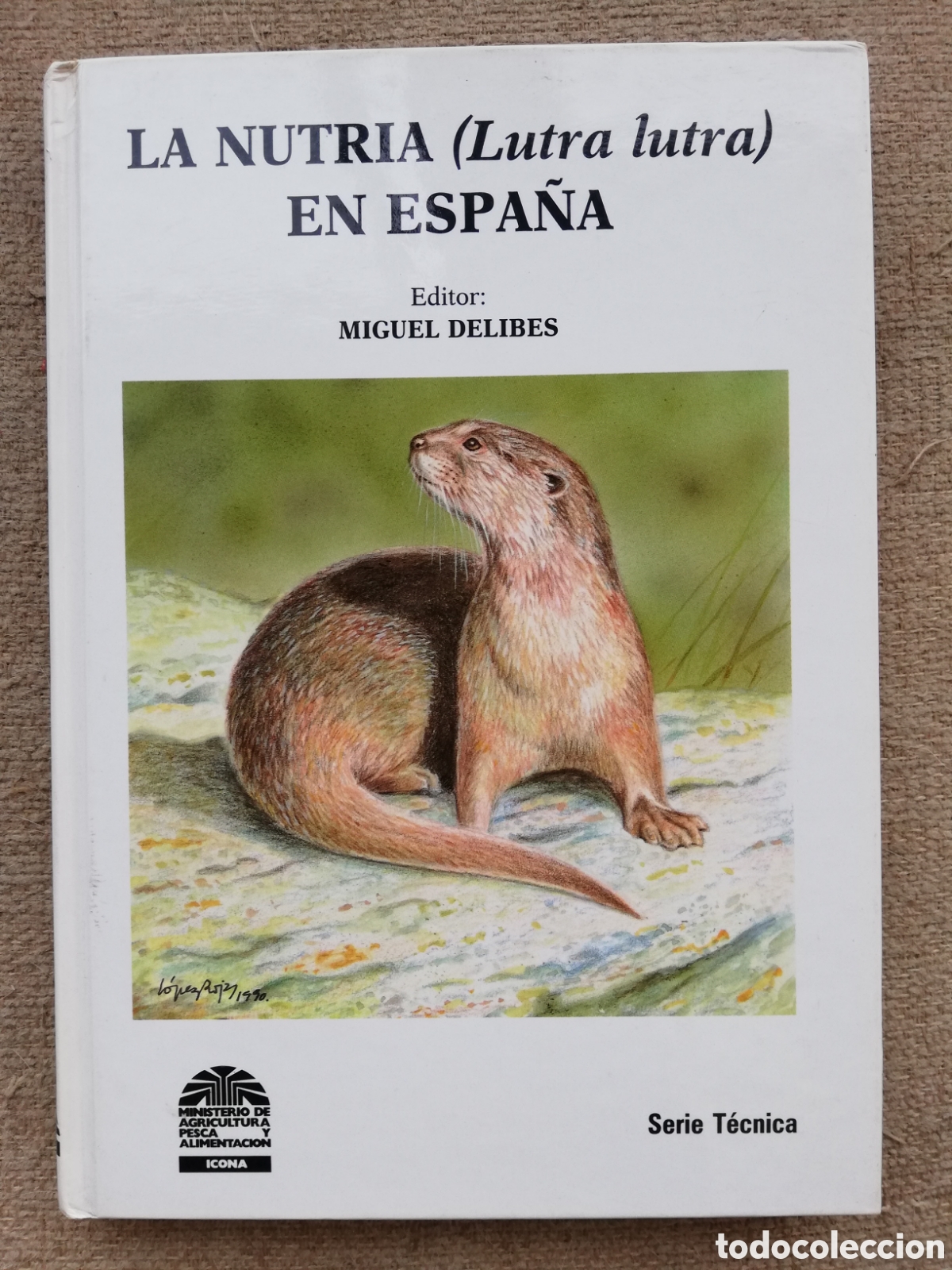Libros de segunda mano: La nutria en Espa&ntilde;a. Editor: Miguel Delibes - Foto 1