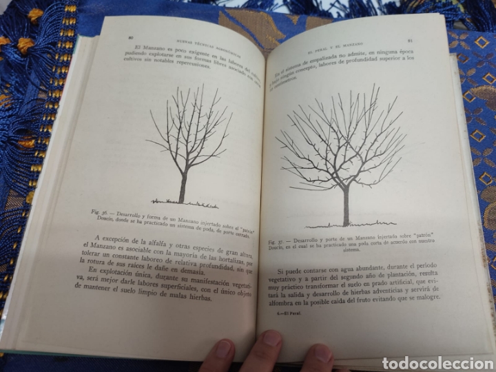 Libros de segunda mano: El Peral y el Manzano Baudilio Juscafresa - Foto 2
