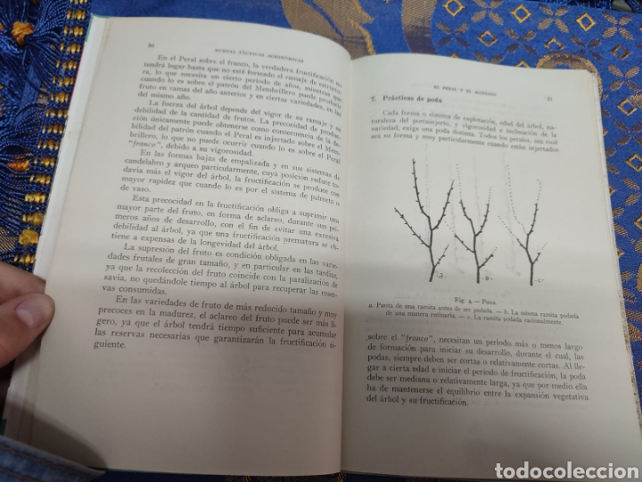 Libros de segunda mano: El Peral y el Manzano Baudilio Juscafresa - Foto 3