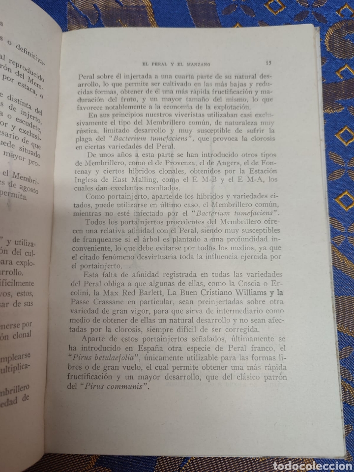 Libros de segunda mano: El Peral y el Manzano Baudilio Juscafresa - Foto 5