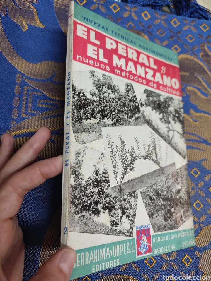 Libros de segunda mano: El Peral y el Manzano Baudilio Juscafresa - Foto 8