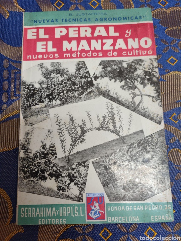 Libros de segunda mano: El Peral y el Manzano Baudilio Juscafresa - Foto 1