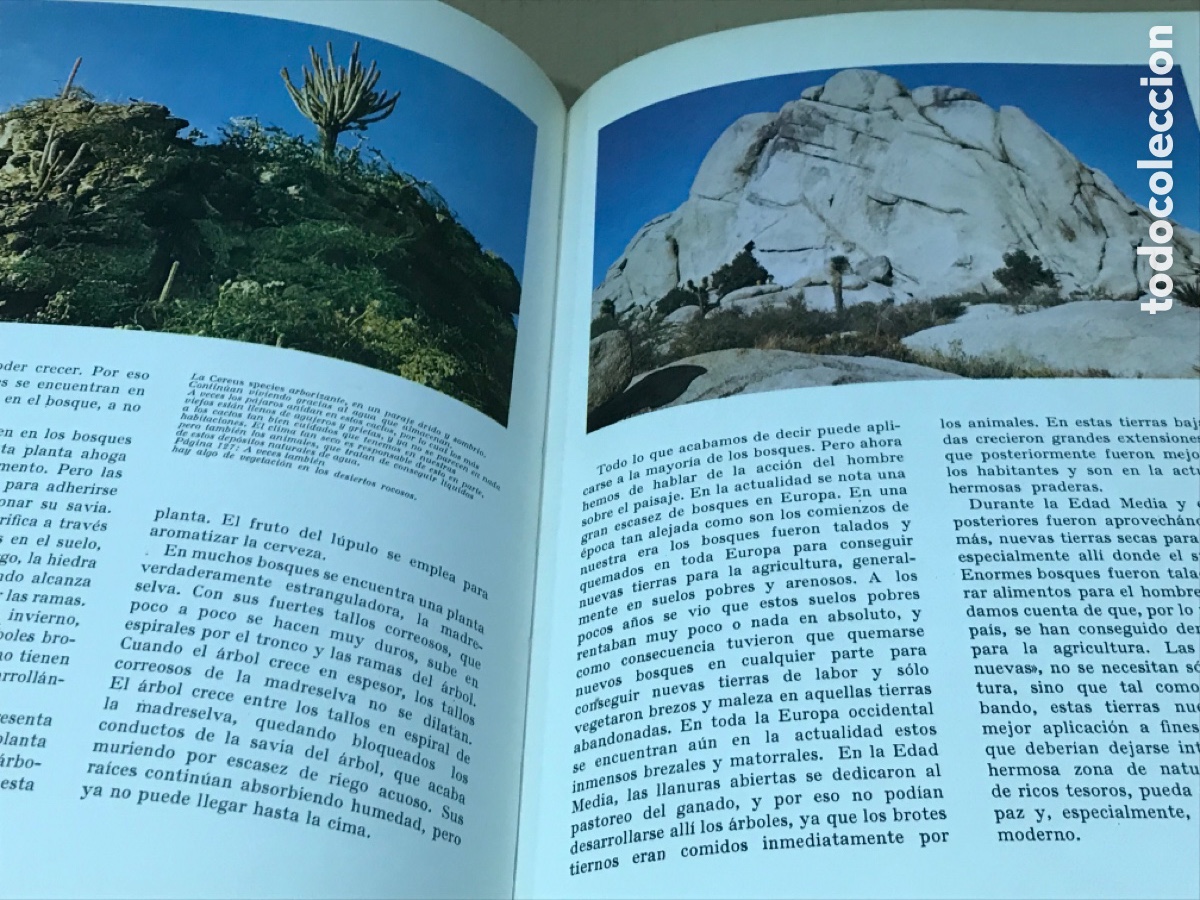 Libros de segunda mano: Maravillas del mundo verde - Foto 4