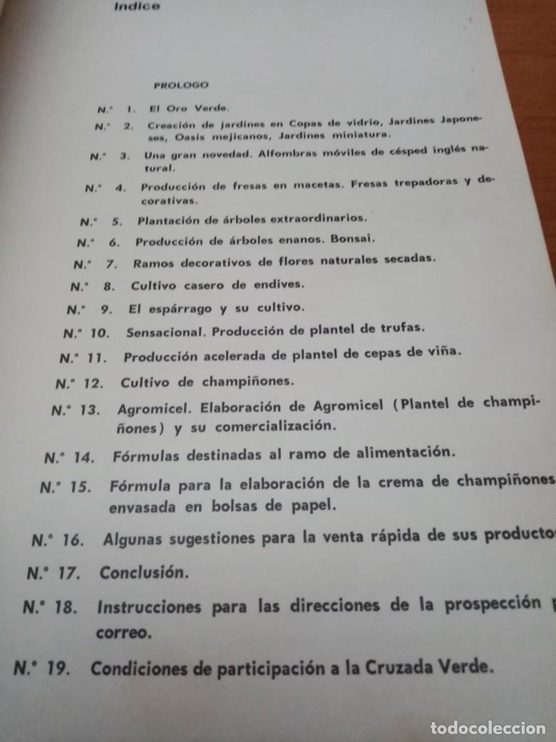Libros de segunda mano: ORO VERDE. A. J. ALBAS. C9L - Foto 3