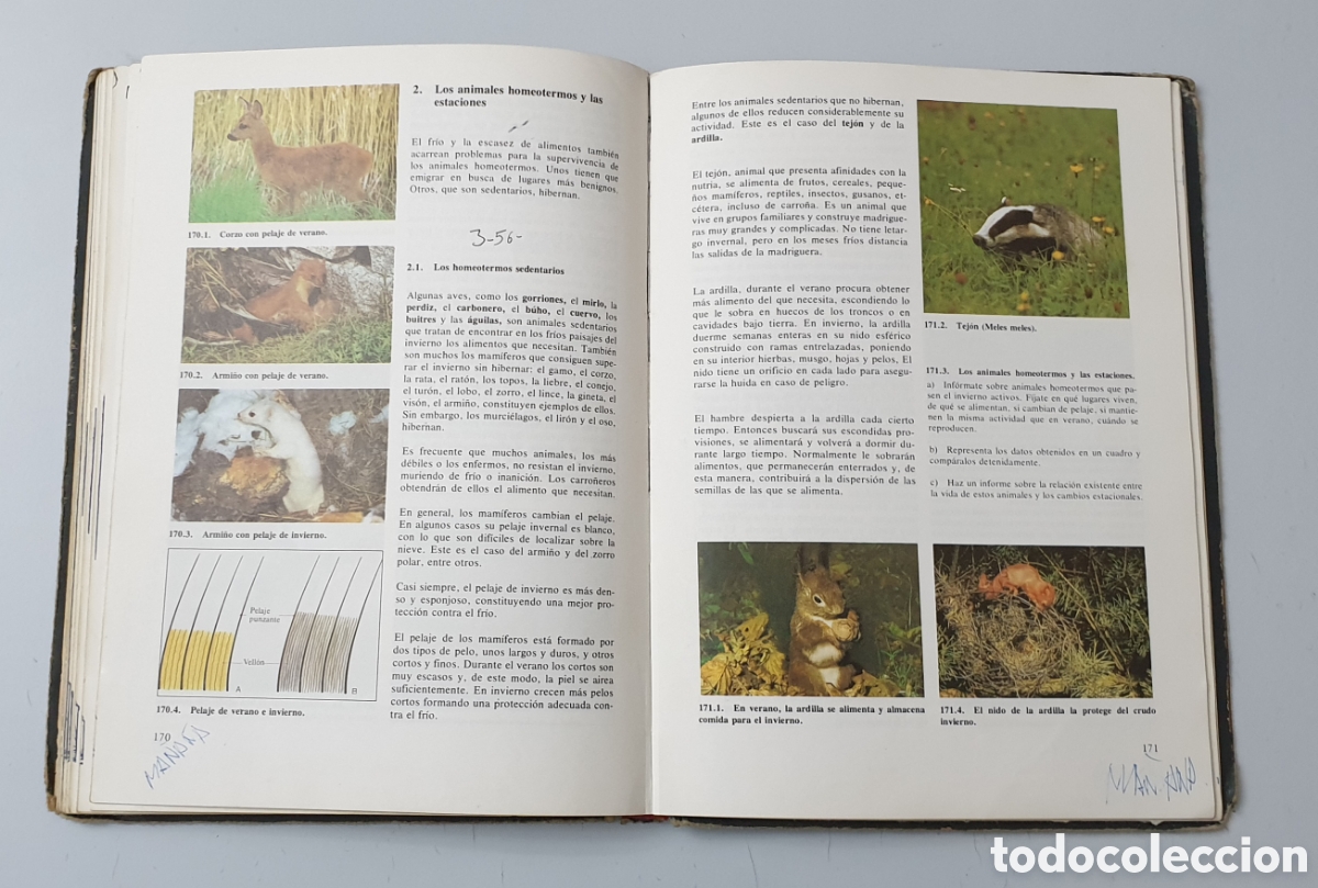 Libros de segunda mano: LIBRO CIENCIAS DE LA NATURALEZA 8&deg; EGB (Interduc/Schroedel, 1980) - Foto 9