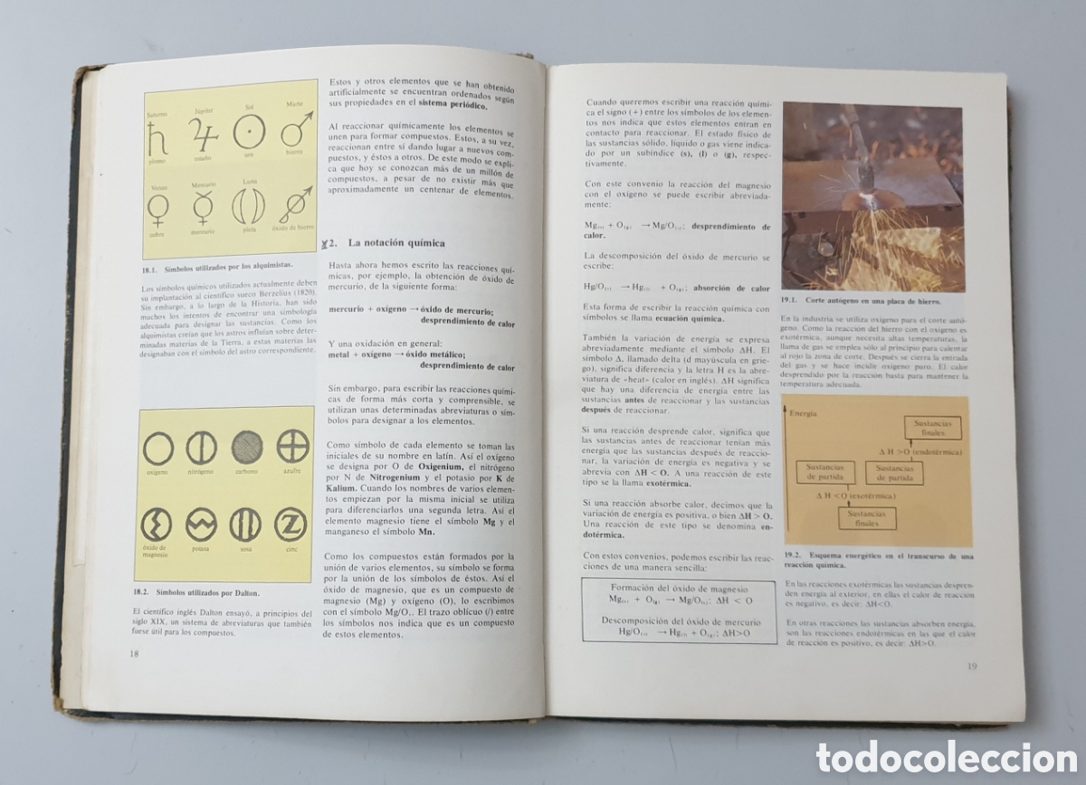 Libros de segunda mano: LIBRO CIENCIAS DE LA NATURALEZA 8&deg; EGB (Interduc/Schroedel, 1980) - Foto 10