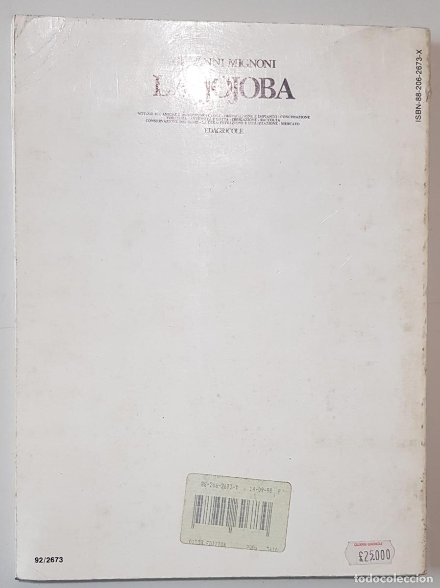 Libros de segunda mano: LA JOJOBA -di Giovanni Mignoni - EDAGRICOLE - Foto 2