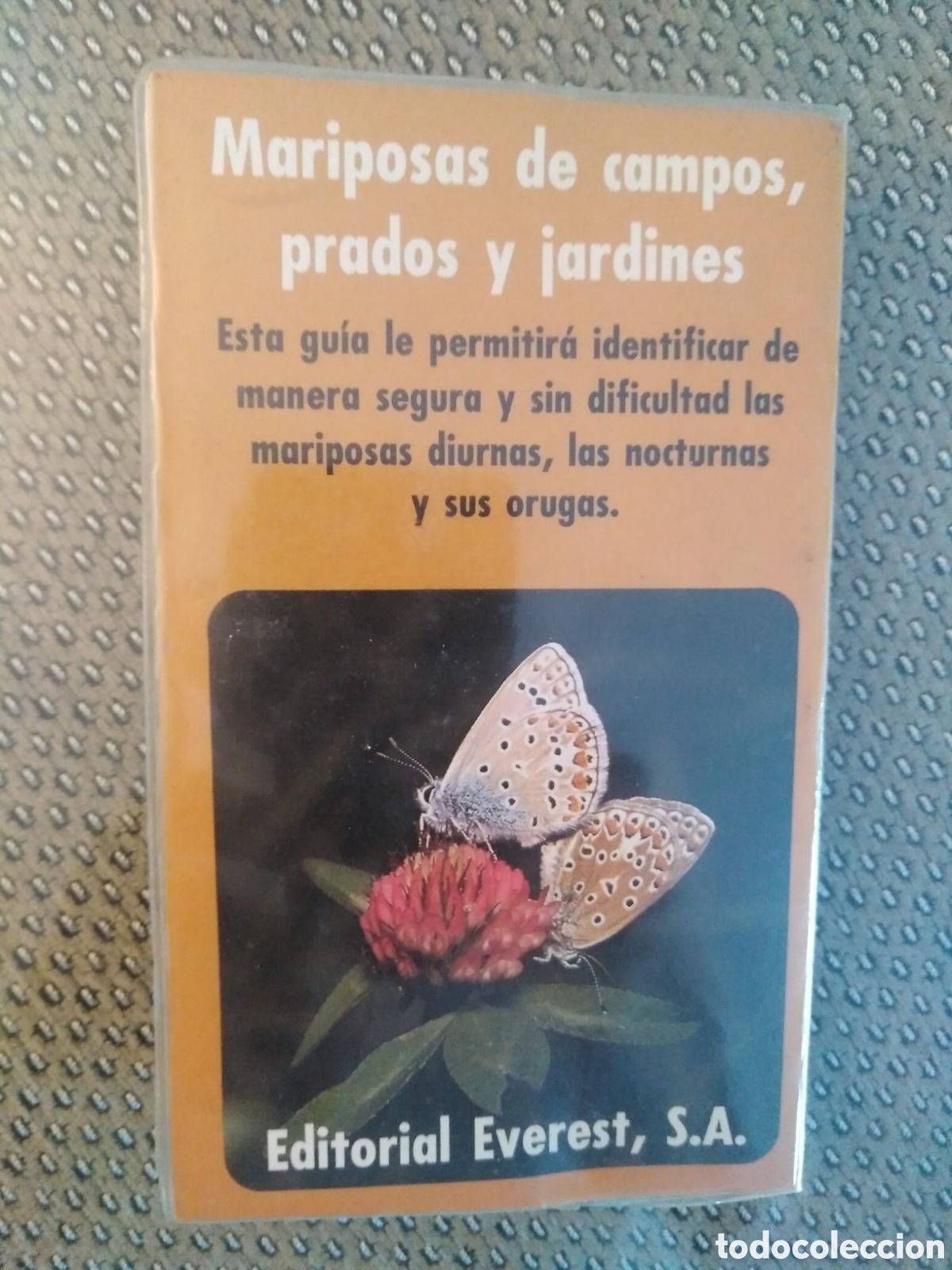Libros de segunda mano: MARIPOSAS. GU&Iacute;A DE LA NATURALEZA EVEREST - Foto 3