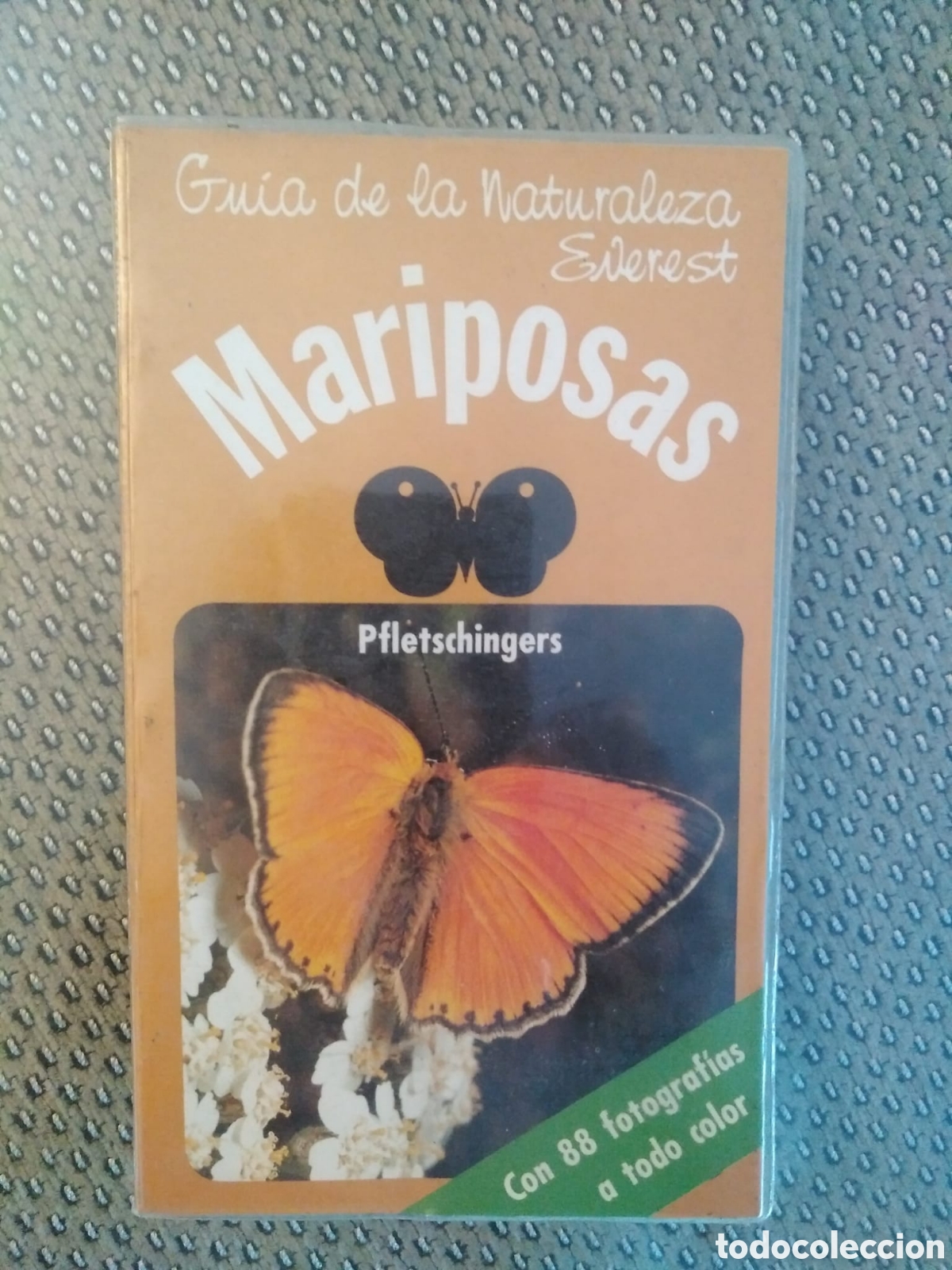 Libros de segunda mano: MARIPOSAS. GU&Iacute;A DE LA NATURALEZA EVEREST - Foto 1