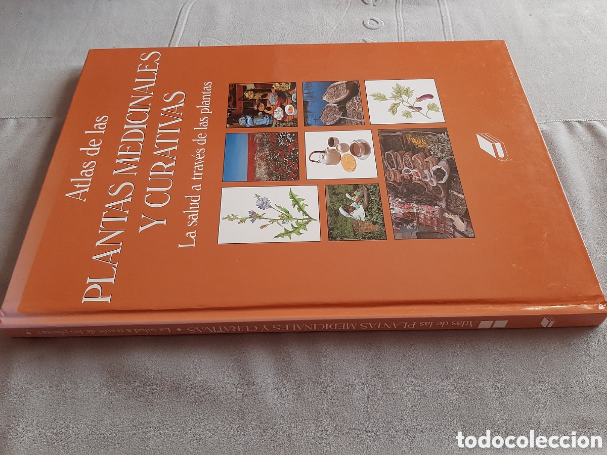 Libros de segunda mano: ATLAS DE LAS PLANTAS MEDICINALES Y CURATIVAS 2003 - Foto 3