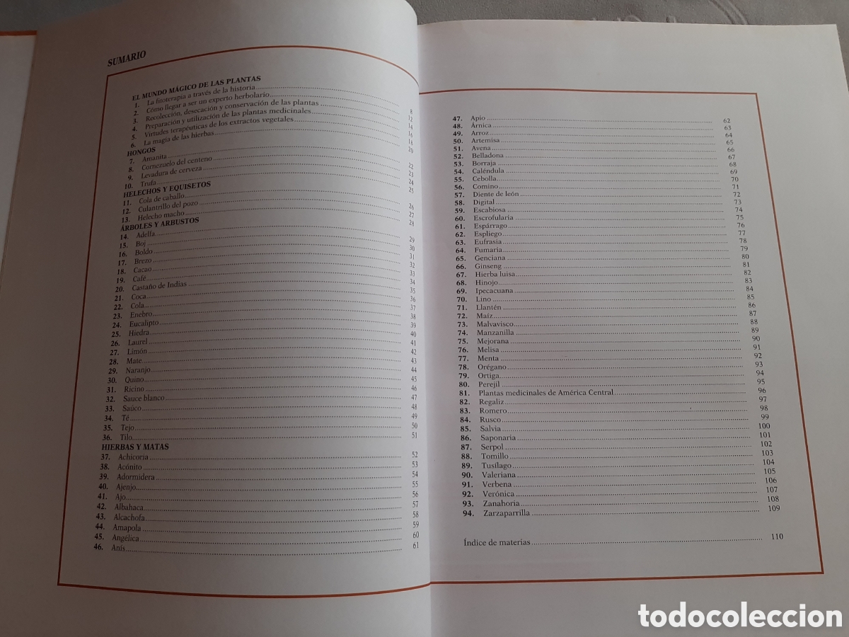 Libros de segunda mano: ATLAS DE LAS PLANTAS MEDICINALES Y CURATIVAS 2003 - Foto 6