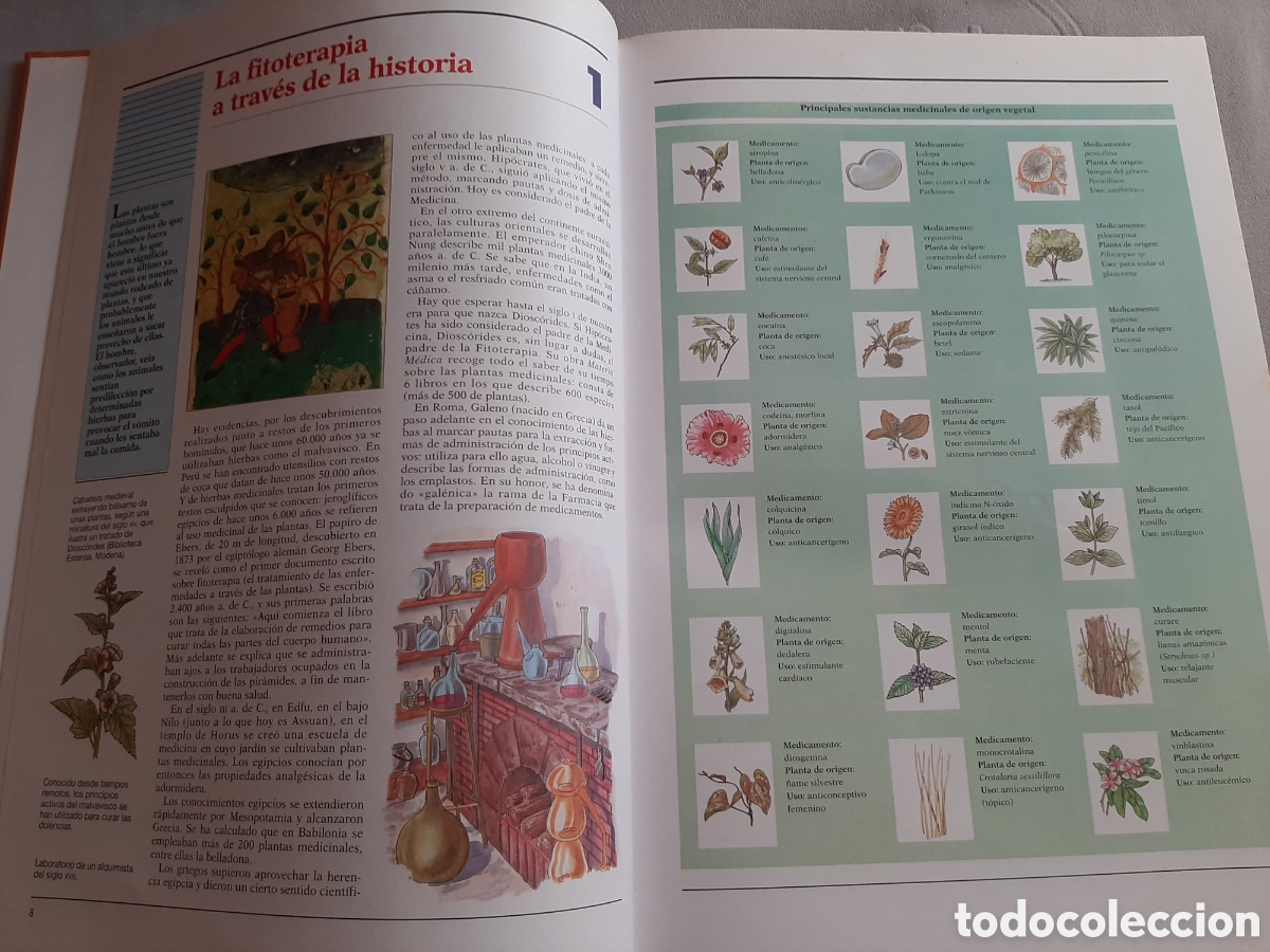 Libros de segunda mano: ATLAS DE LAS PLANTAS MEDICINALES Y CURATIVAS 2003 - Foto 7