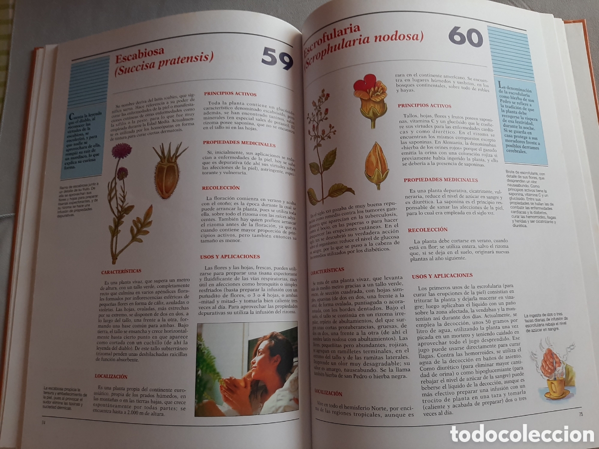 Libros de segunda mano: ATLAS DE LAS PLANTAS MEDICINALES Y CURATIVAS 2003 - Foto 9