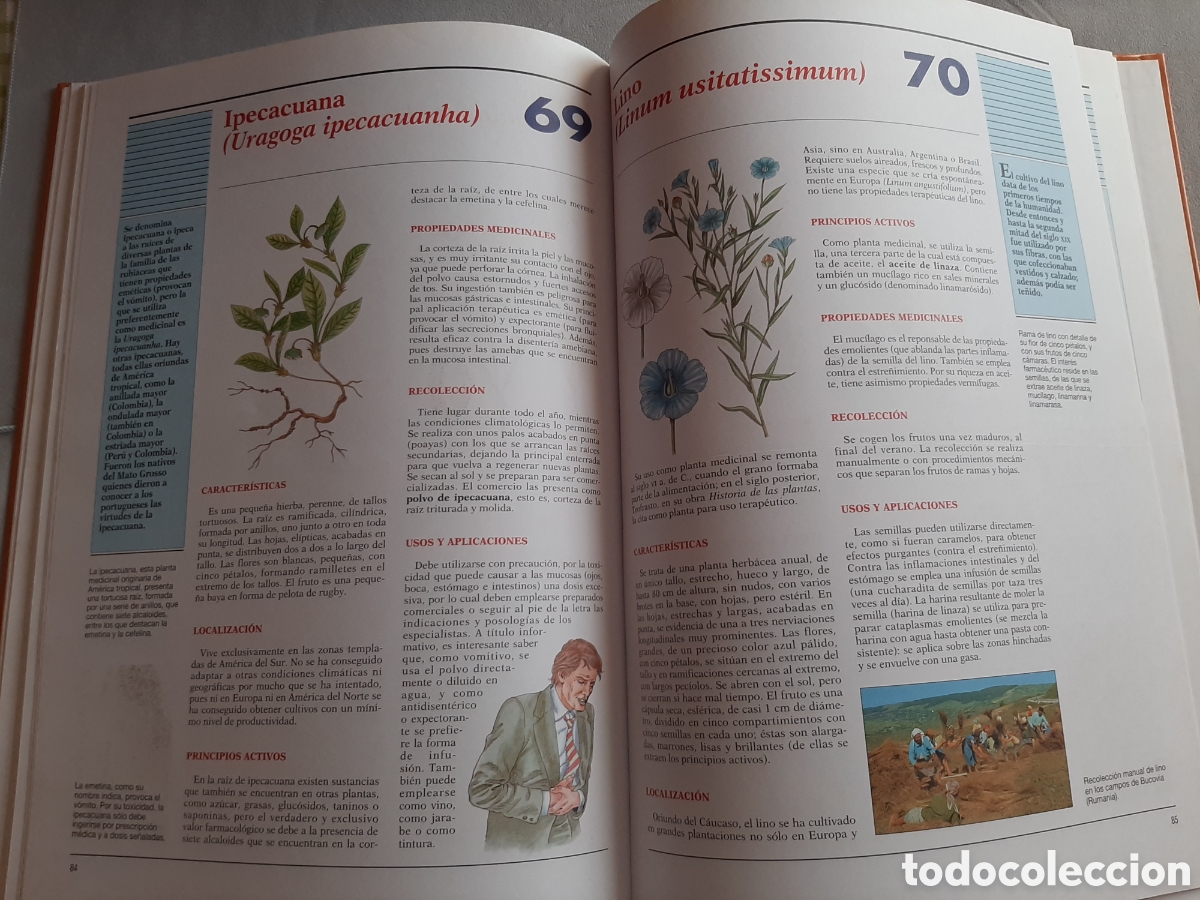 Libros de segunda mano: ATLAS DE LAS PLANTAS MEDICINALES Y CURATIVAS 2003 - Foto 10