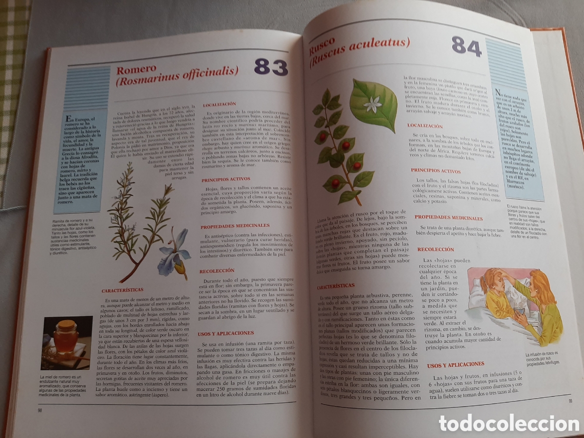 Libros de segunda mano: ATLAS DE LAS PLANTAS MEDICINALES Y CURATIVAS 2003 - Foto 11