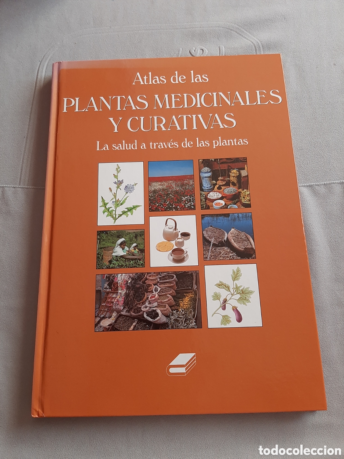 Libros de segunda mano: ATLAS DE LAS PLANTAS MEDICINALES Y CURATIVAS 2003 - Foto 1