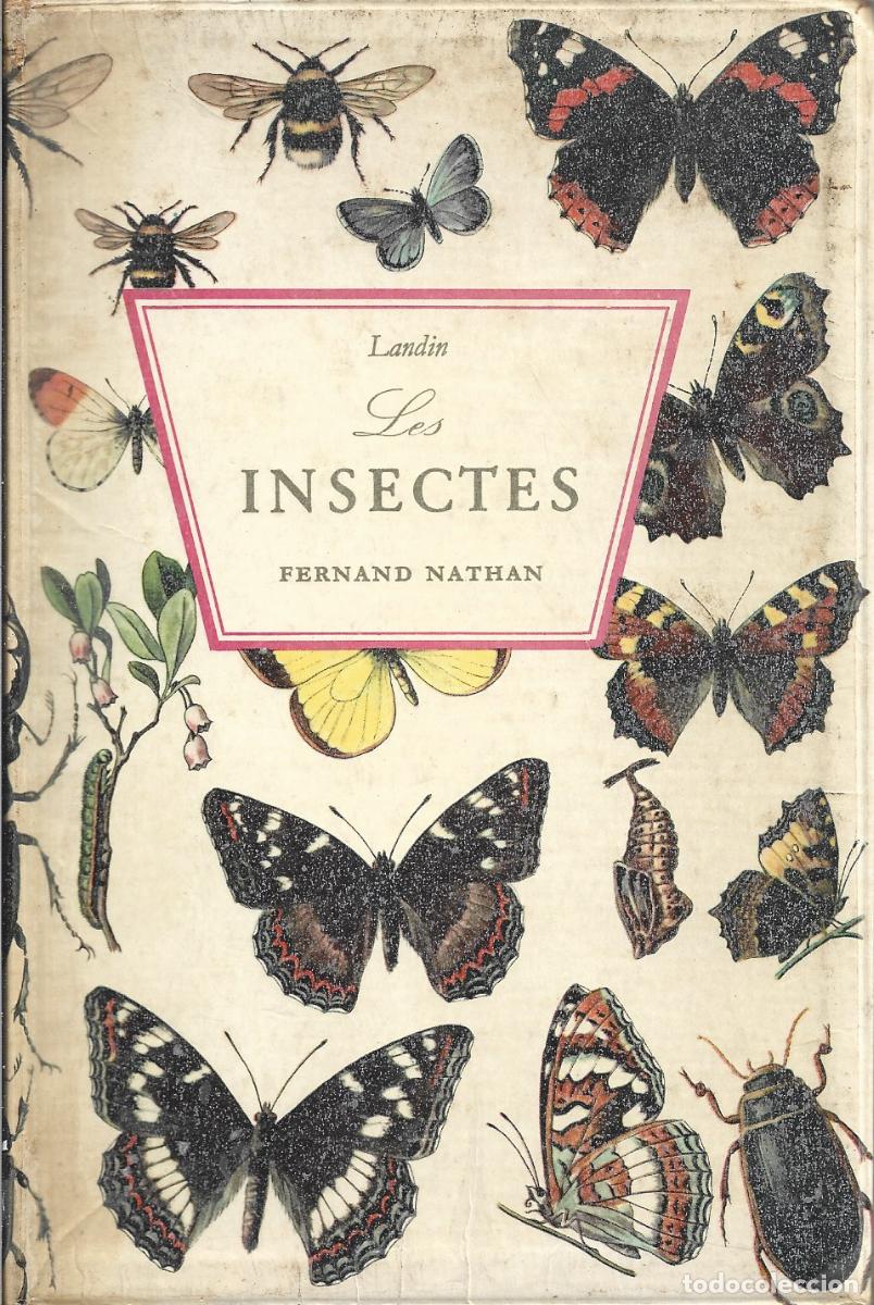 Libros de segunda mano: LES INSECTES.- FERNAND NATHAN.- LANDIN - Foto 1