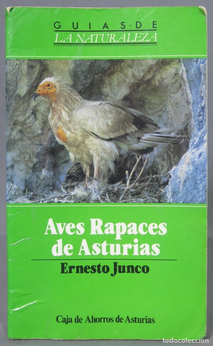 Libros de segunda mano: Aves rapaces de Asturias. Ernesto Junco - Foto 1