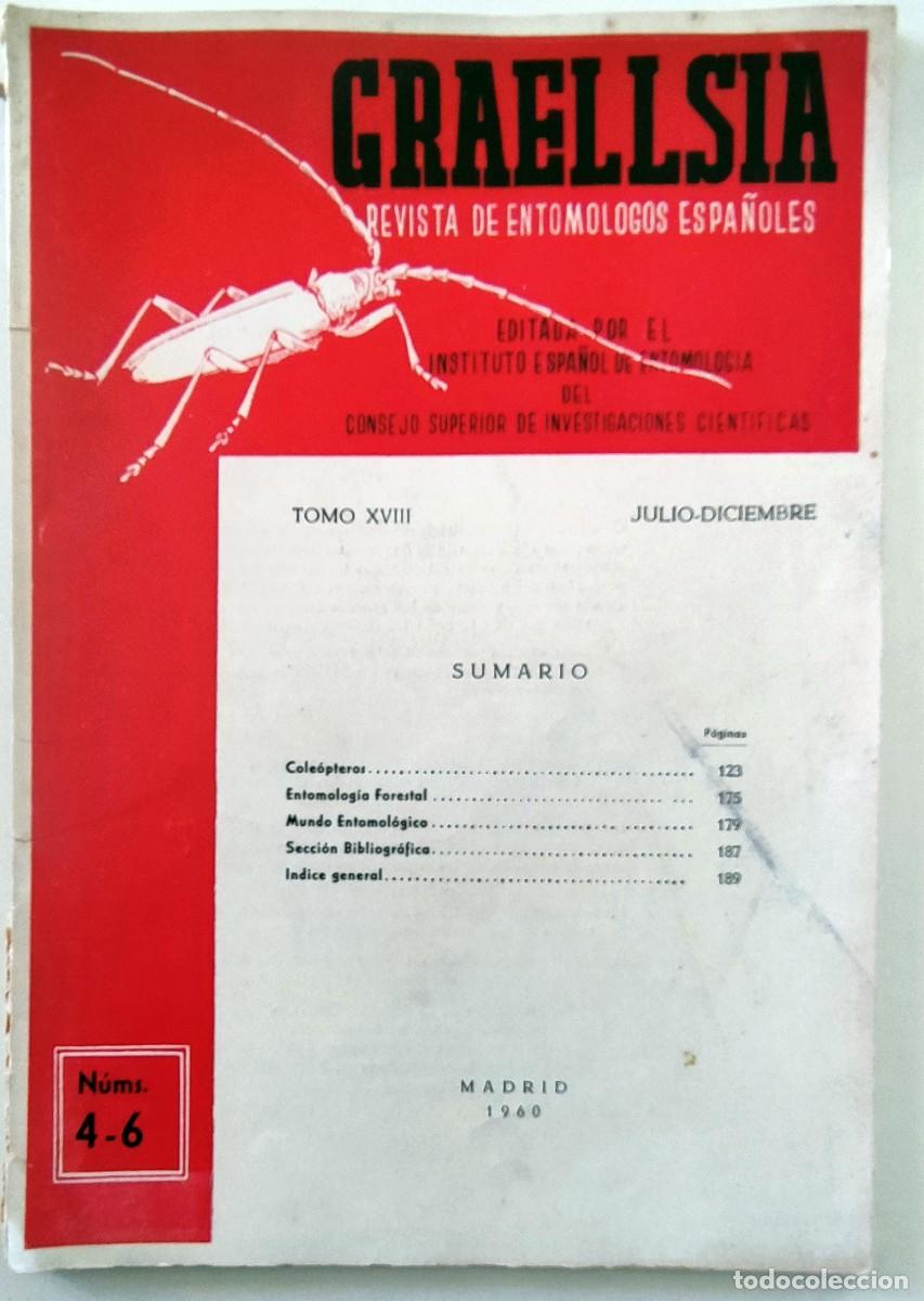 Libros de segunda mano: GRAELLSIA REVISTA DE ENTOMOLOGOS IBERICOS 1960 JULIO DICIEMBRE TOMO 18 4-6