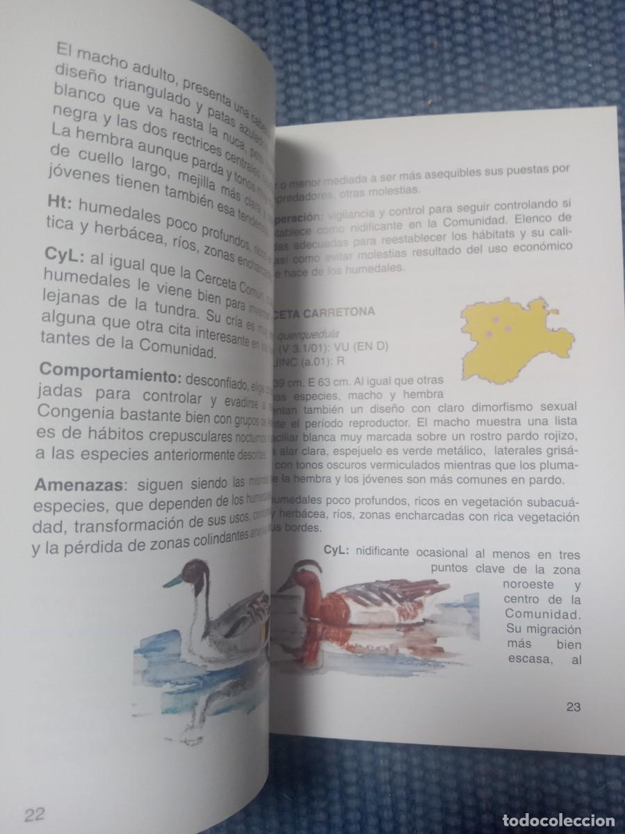 Libros de segunda mano: Aves amenazadas en Castilla y Le&oacute;n - Foto 2