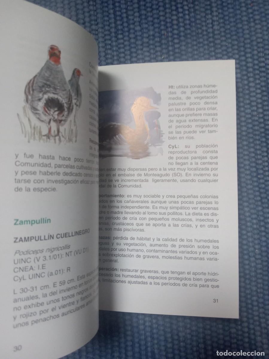 Libros de segunda mano: Aves amenazadas en Castilla y Le&oacute;n - Foto 3