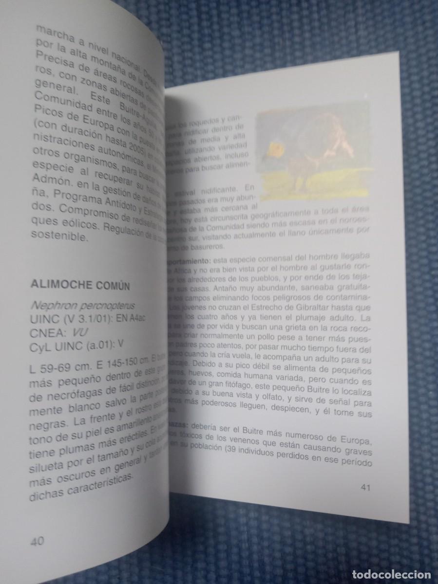 Libros de segunda mano: Aves amenazadas en Castilla y Le&oacute;n - Foto 4