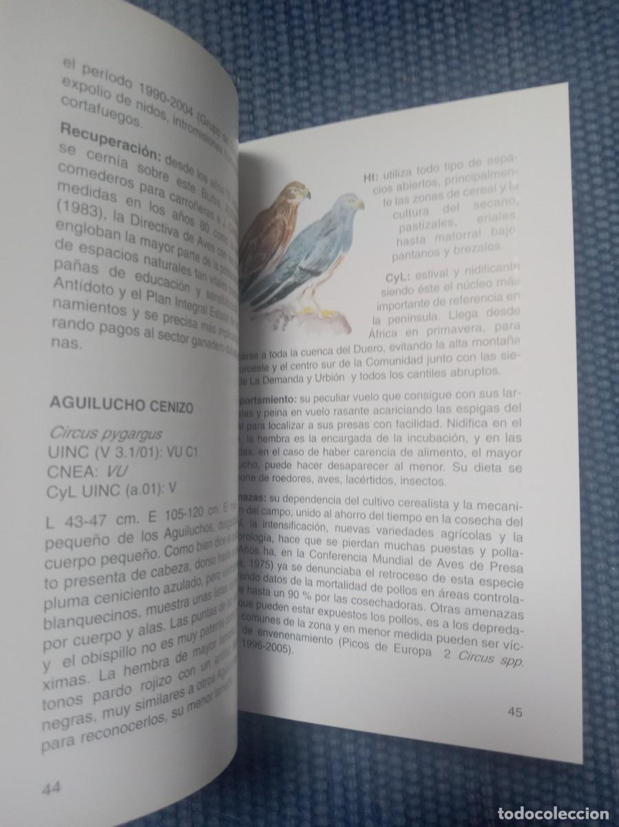 Libros de segunda mano: Aves amenazadas en Castilla y Le&oacute;n - Foto 5