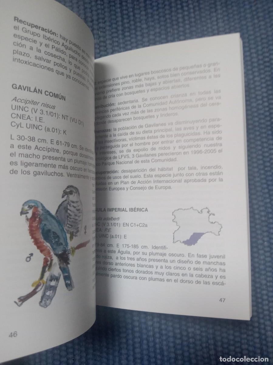 Libros de segunda mano: Aves amenazadas en Castilla y Le&oacute;n - Foto 6