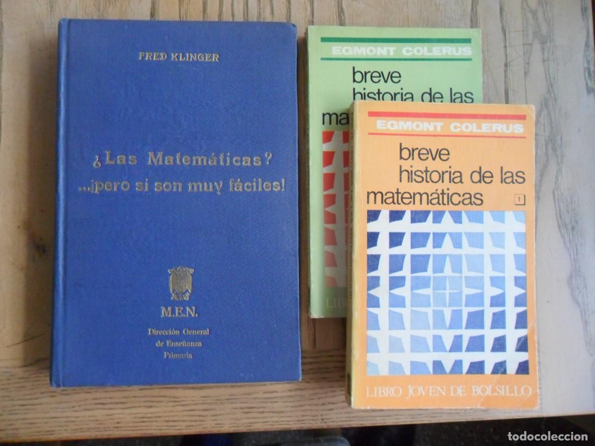 Libros de segunda mano de ciencias: Lote de dos libros de matem&aacute;ticas. (Breve H&ordf; de las Matem&aacute;ticas y &iquest;Las matem&aacute;ticas? - Foto 1