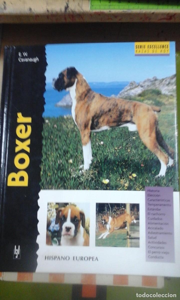 Libros de segunda mano: BOXER (Barcelona, 2003) - Foto 1