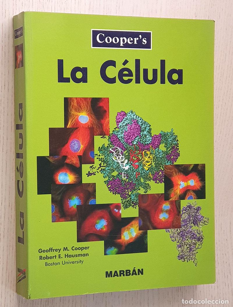 Libros de segunda mano: LA C&Eacute;LULA - COOPER. Geoffrey M. - HAUSMAN, Robert E. - Foto 1