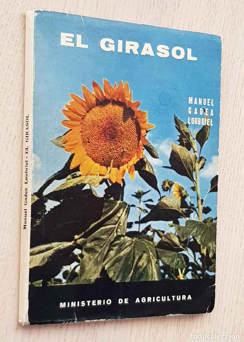 Libros de segunda mano: EL GIRASOL - CADEA LOUBRIEL, Manuel - Foto 1