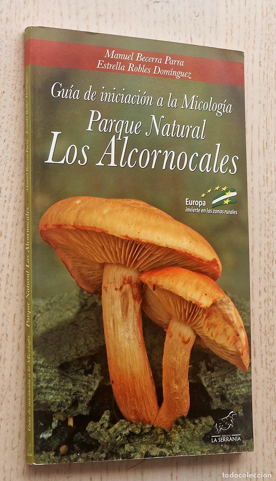 Gebrauchte B&uuml;cher: GUIA DE INICIACION A LA MICOLOGIA. PARQUE NATURAL LOS ALCORNOCALES - BECERRA PARRA, Manuel - ROBLES