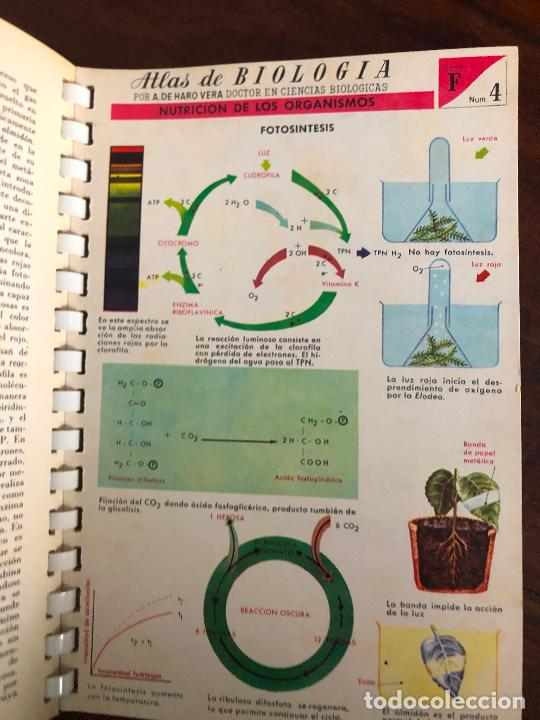 Libros de segunda mano: ATLAS DE BIOLOG&Iacute;A A. DE HARO VERA - Foto 3