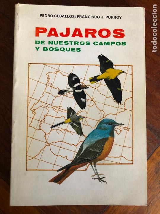 Libri di seconda mano: PAJAROS DE NUESTROS CAMPOS Y BOSQUES. CEBALLOS, PEDRO / PURROY, FRANCISCO J. A-AVES