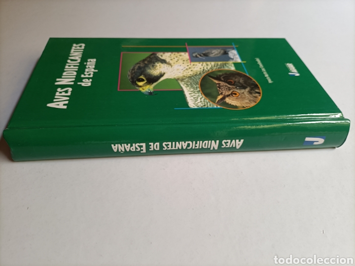Libros de segunda mano: W... Aves Nidificantes de Espa&ntilde;a Ignacio Mart&iacute;n Sanz - Foto 3