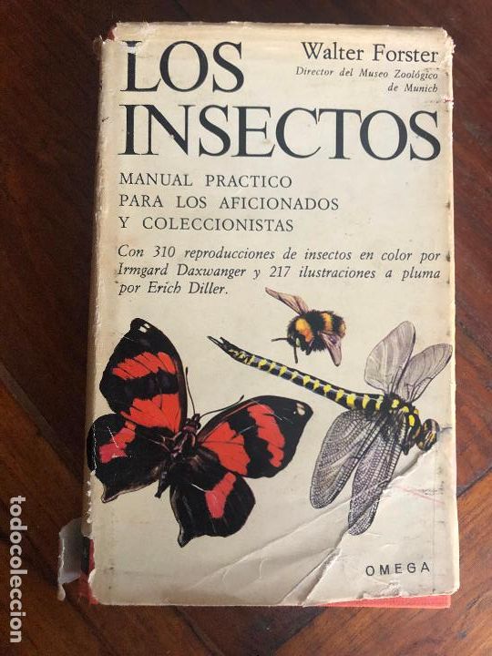 Libros de segunda mano: LOS INSECTOS. WALTER FORSTER. OMEGA 1969. - Foto 1