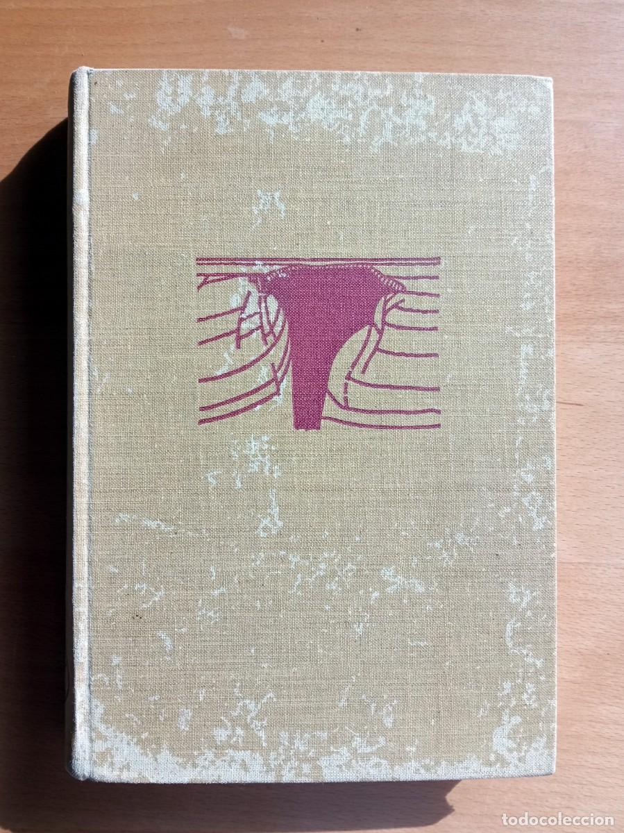 Libros de segunda mano: Compendio de geolog&iacute;a general, Roland Binkmann - Foto 1