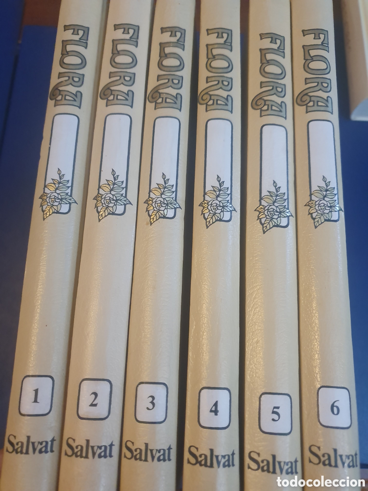 Libri di seconda mano: FLORA ENCICLOPEDIA SALVAT DE LA JARDINER&Iacute;A 6 TOMOS