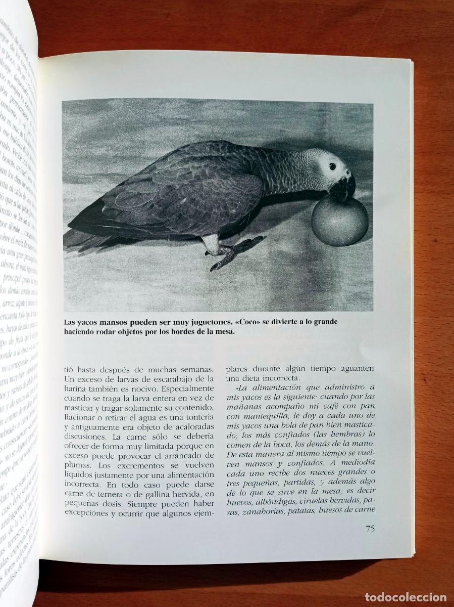 Libros de segunda mano: El loro gris &rdquo;yaco&rdquo;, Wolfgang de Grahl - Foto 3