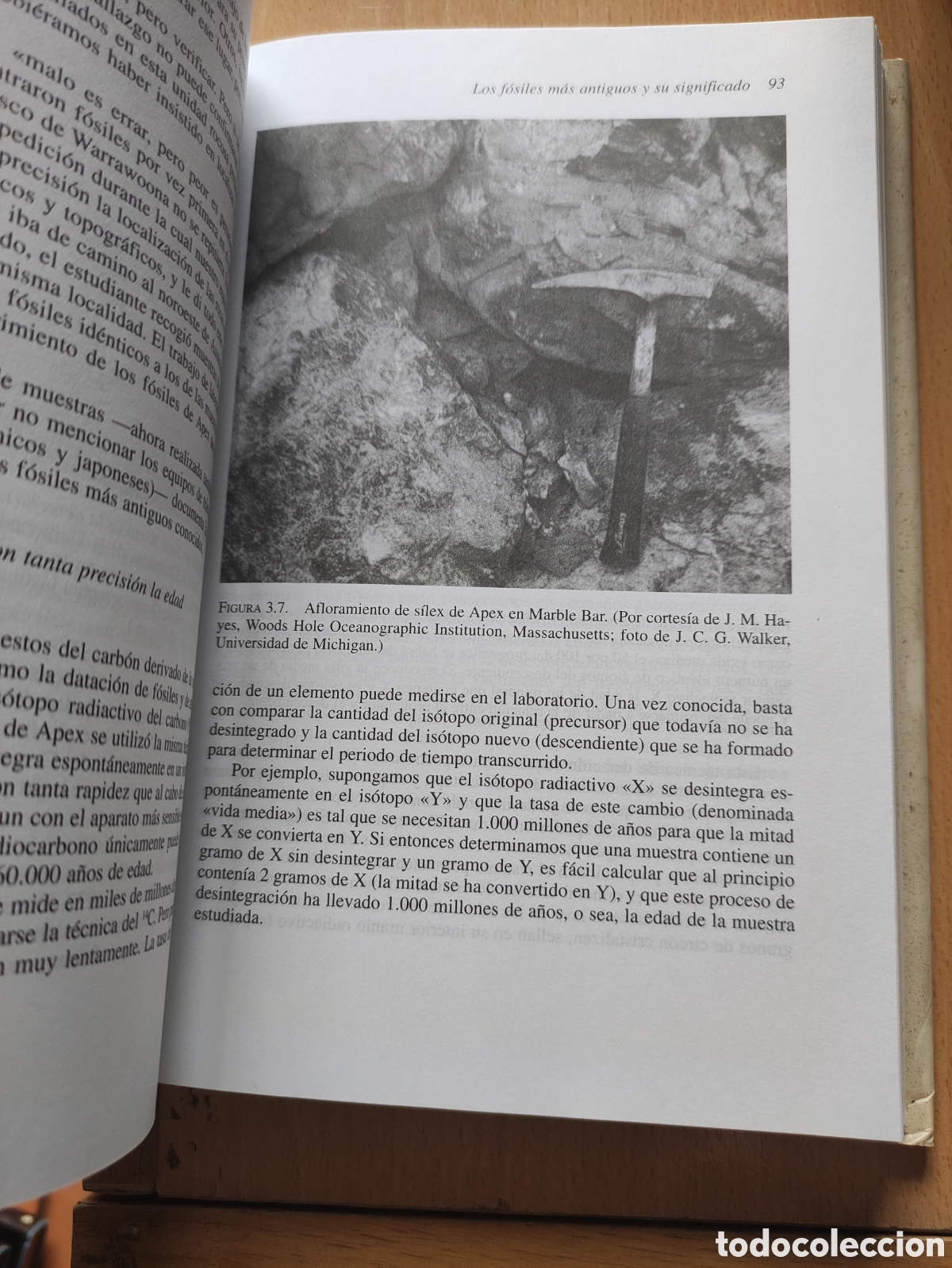 Libros de segunda mano: La cuna de la vida - J. W. Schopf - 2000 - 365p - 24x16 - Foto 7