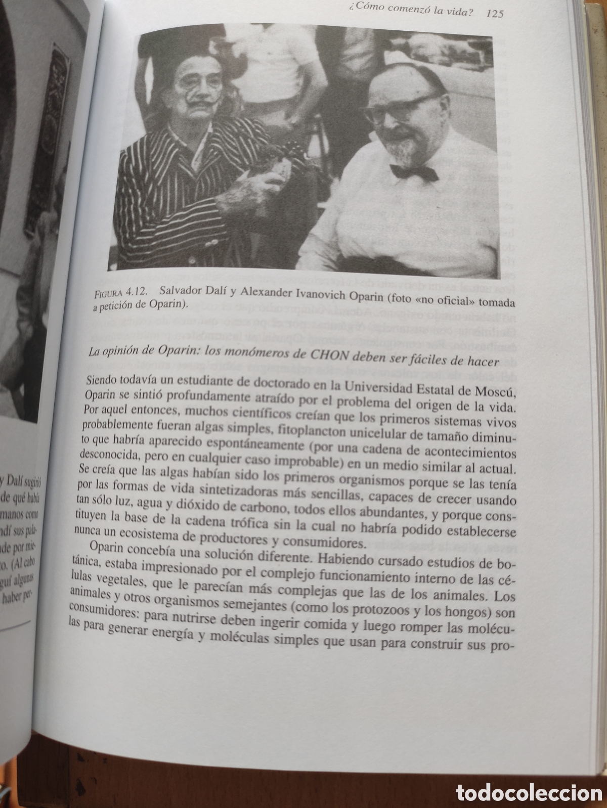 Libros de segunda mano: La cuna de la vida - J. W. Schopf - 2000 - 365p - 24x16 - Foto 8