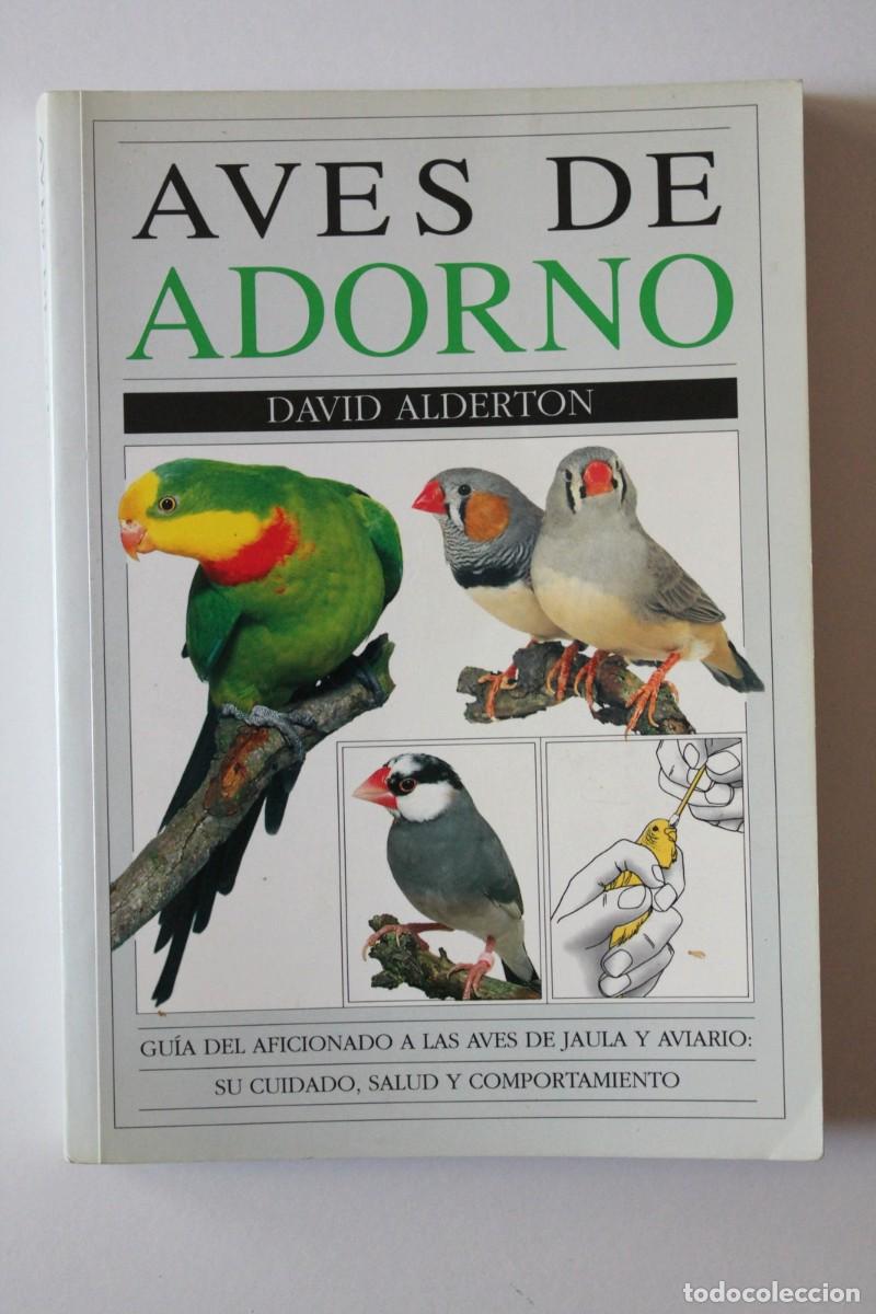 Libros de segunda mano: David Alderton - Aves de adorno - Omega - Foto 1