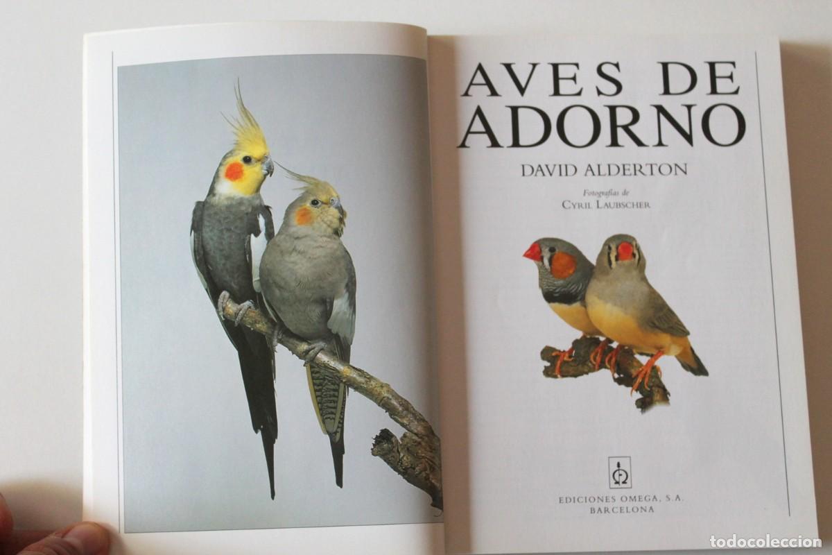 Libros de segunda mano: David Alderton - Aves de adorno - Omega - Foto 3