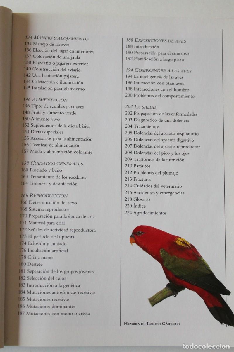 Libros de segunda mano: David Alderton - Aves de adorno - Omega - Foto 5