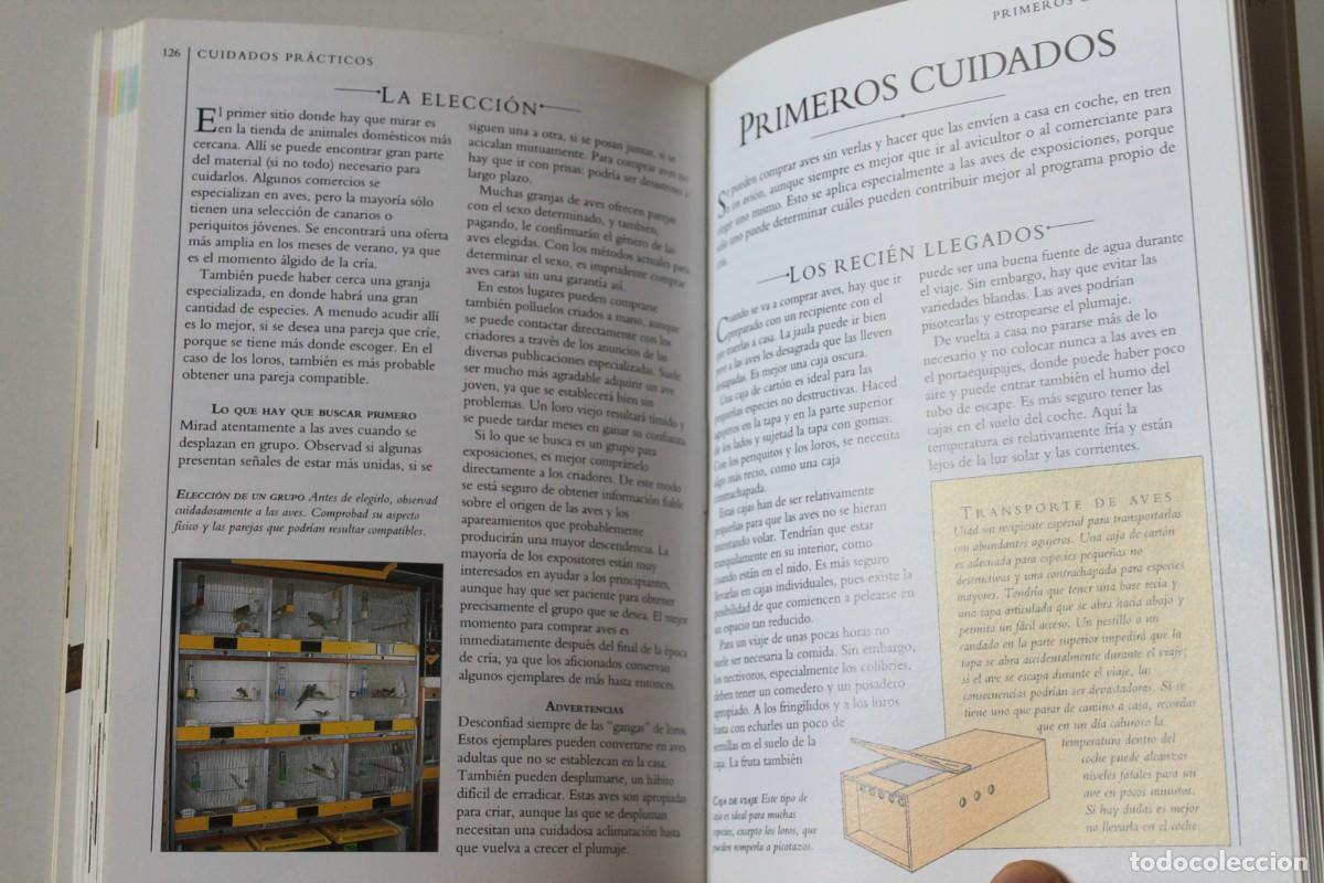 Libros de segunda mano: David Alderton - Aves de adorno - Omega - Foto 7